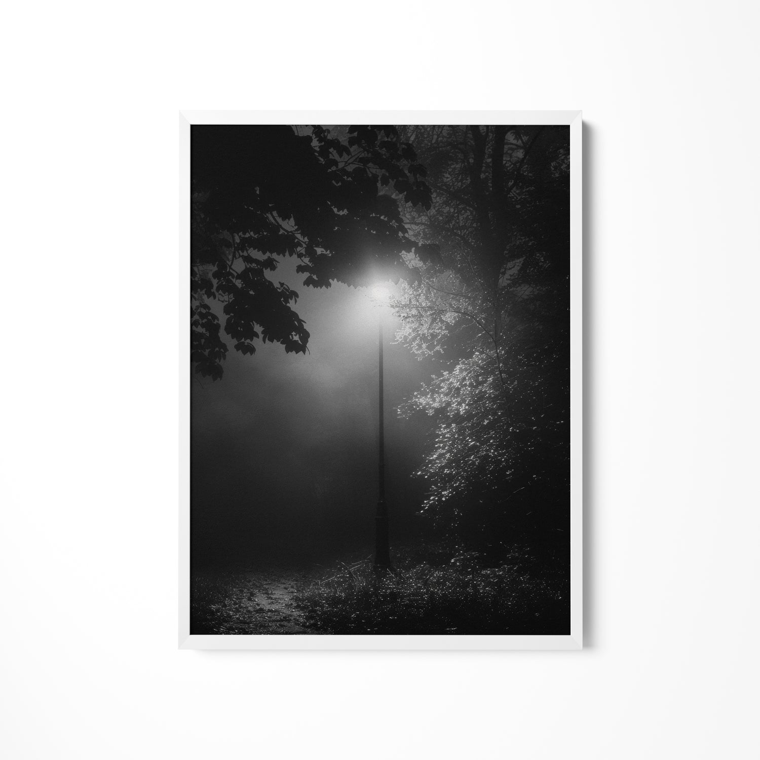 a black and white photo of a street light