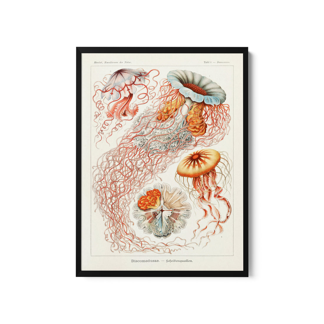 a painting of jellyfish and other sea creatures