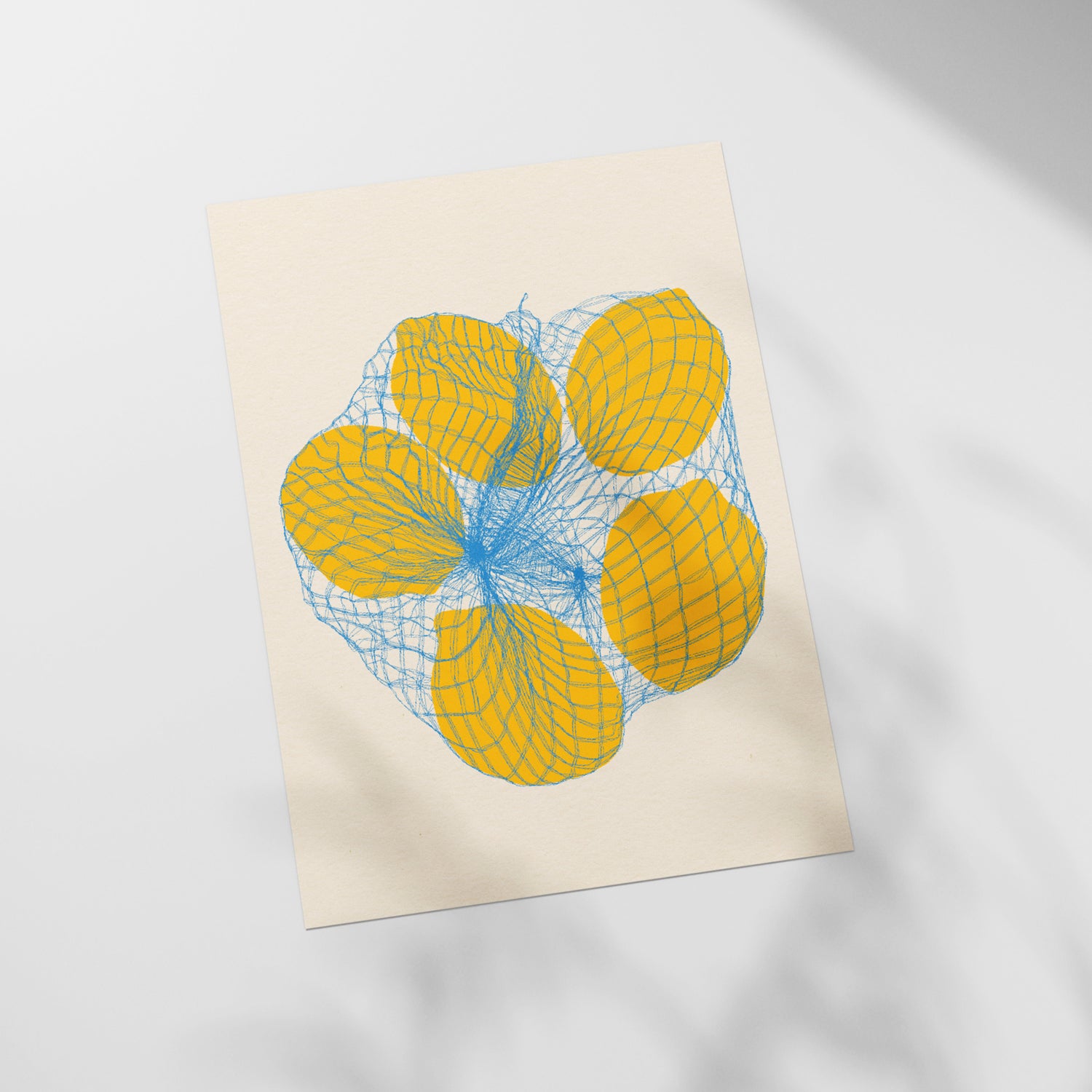 a piece of paper with a drawing of four oranges on it