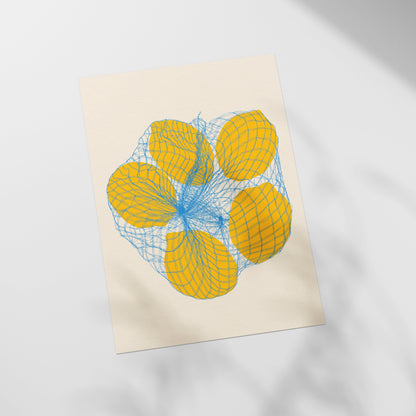 a piece of paper with a drawing of four oranges on it