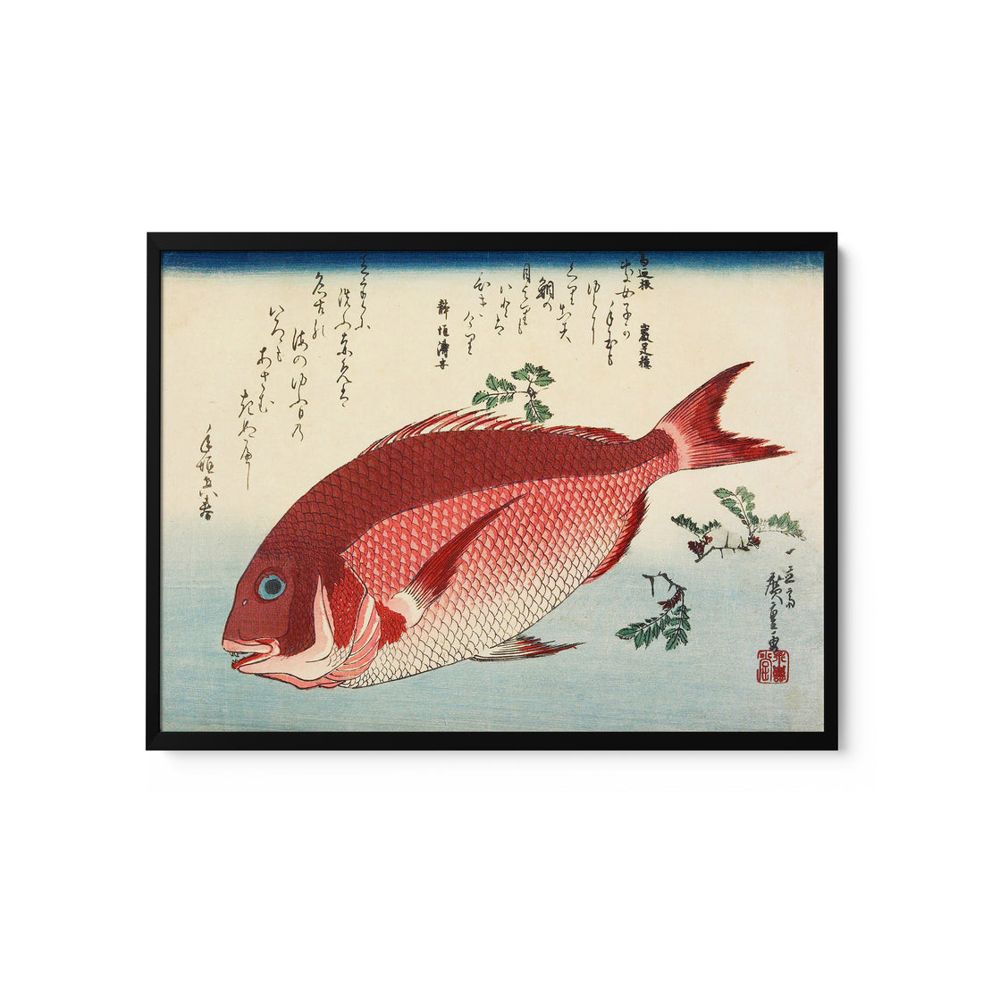 a painting of a fish on a white background