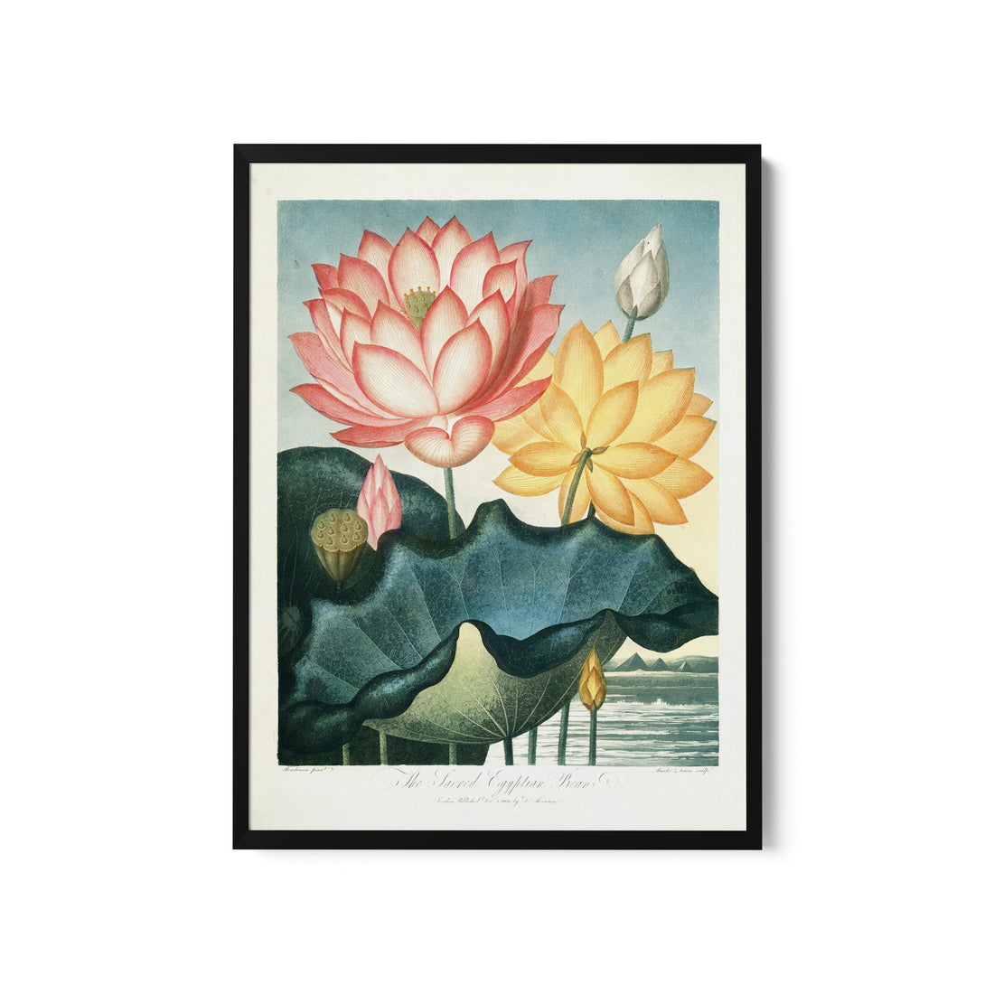 a painting of water lilies on a pond