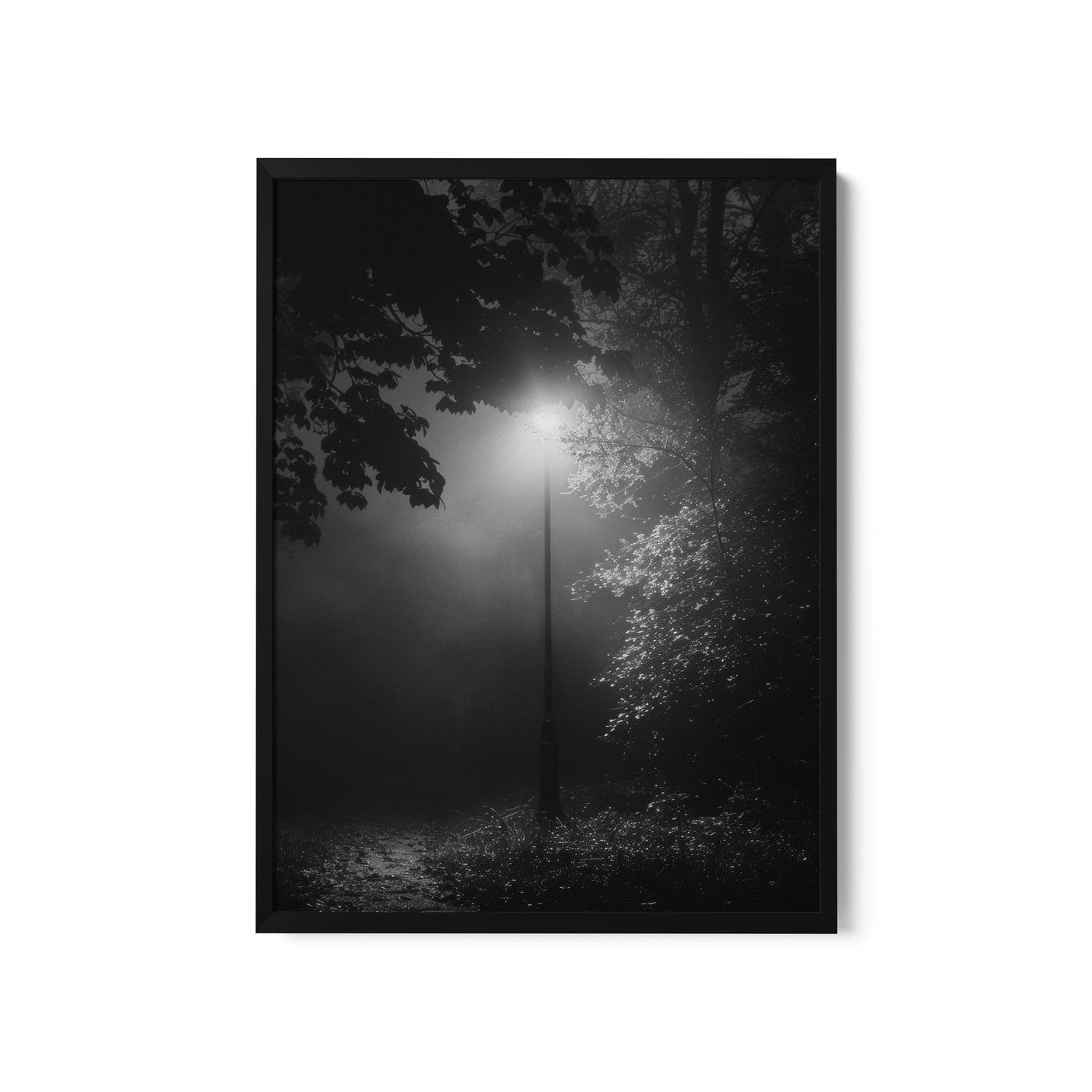 a black and white photo of a street light