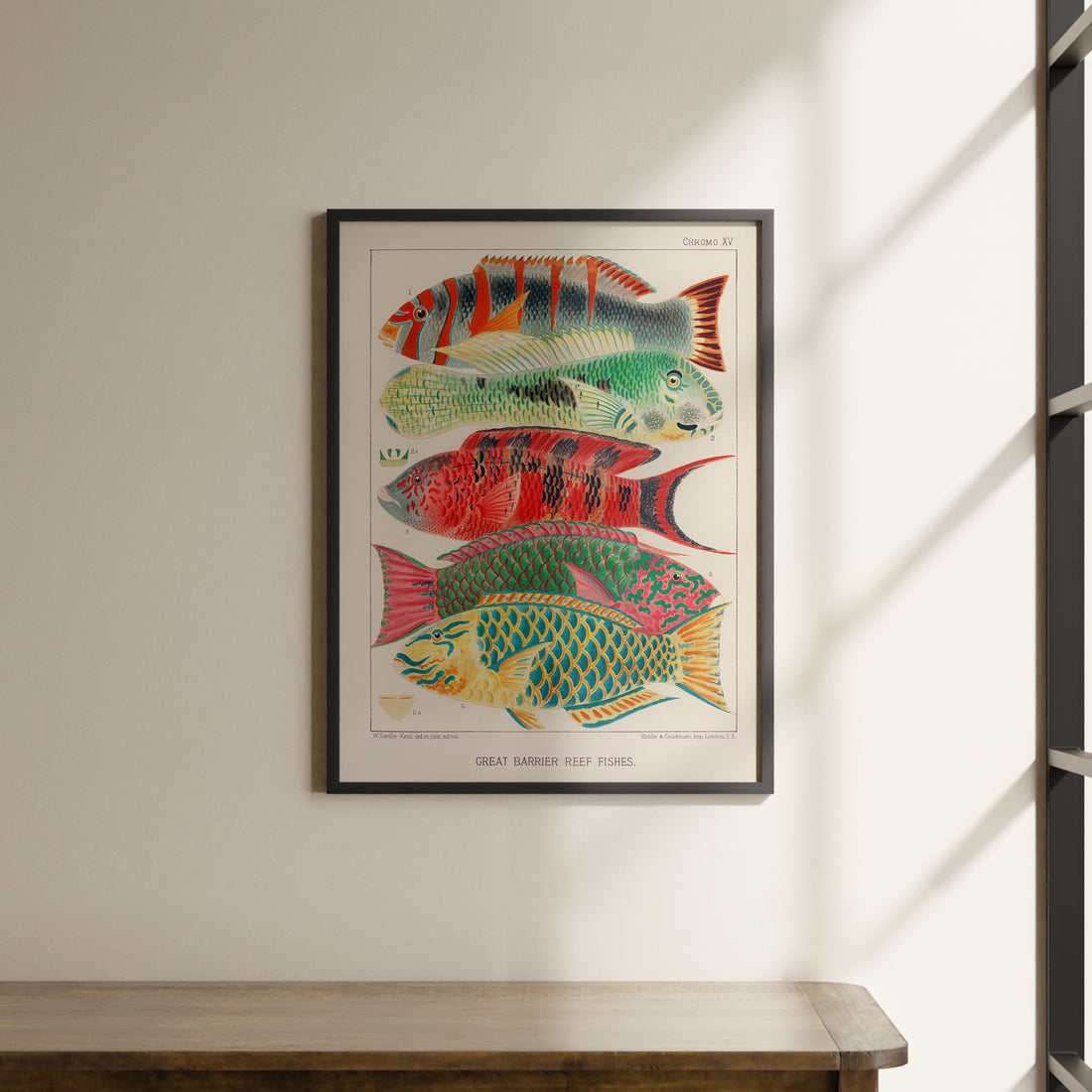 a picture of a fish hanging on a wall