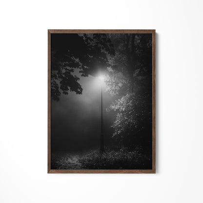 a black and white photo of a street light